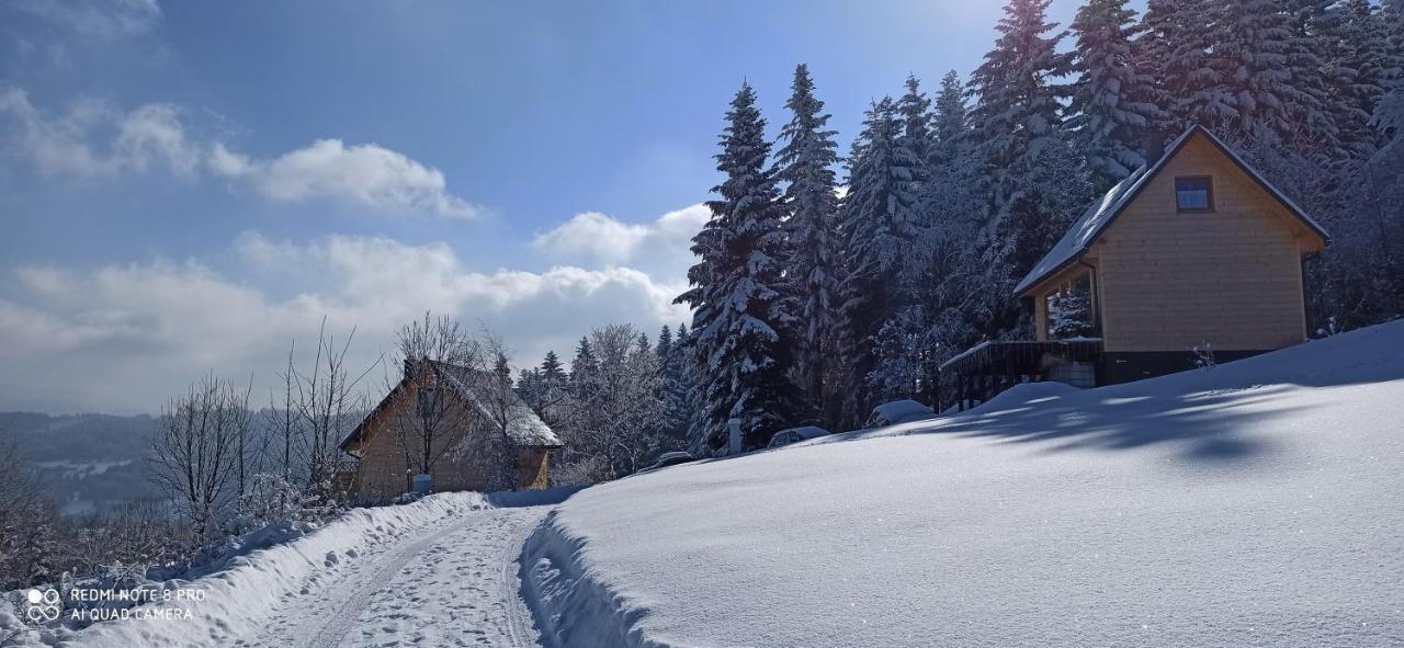 Chata Z Widokiem Na Babia Gore Pewel Wielka Extérieur photo